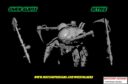 Woe Stalker 24