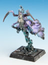 FF Schwarze Witwe 02