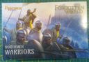 Fireforge Northmen Warriors 1