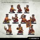 Kromlech Hospodars Veterans Command 3