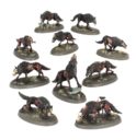 Games Workshop Dire Wolves 1