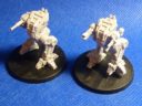 Novan Regulars – Locust Battle Striders 2