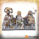 TTCombat Trolls 03