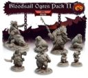 TF Bloodfields Eternal Sorrow Kickstarter 33