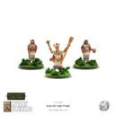 Warlord Games Mythic Americas Inti High Priest 1