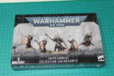 Brueckenkopf Online Warhammer 40.000 Celestia Sacresantis Review 1