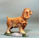 DSM Cocker Spaniel Dogs X 2 3