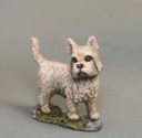 DSM Westie Dogs X 2 2