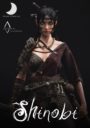 Journeyman Shinobi 6