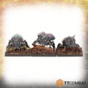 TTCombat Beetles 02