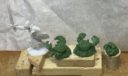 Reaper Piranha Crabs (3)
