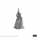 Reaper Pirate City Of Brinewind Boxed Set 6