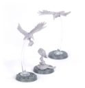 Forge World Cawdor Sheen Birds 3