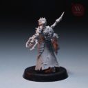 Artel W Flesh Husks Pack 24