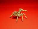 Klukva Spider Monster 4