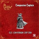 LEP Companion Captain