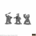 Reaper Miniatures Crypt Of The Dwarf King Boxed Set 10