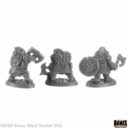 Reaper Miniatures Crypt Of The Dwarf King Boxed Set 9