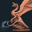 World Of Dragons STL Files For 3D Printing 5
