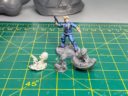 BM Bombshell Edo Strider 4