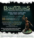 AR ASGARD RISING NIFLHEIM Bones & Ruins 2