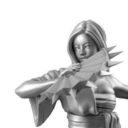 Bushido Prev02