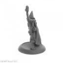 Reaper Human Wizard, Luwin Phost 2