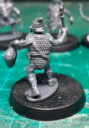 Review GoblinsFertig7