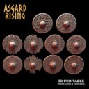 VIKINGS SHIELDS 1
