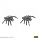 Reaper Giant Spider (77025) (2) 4