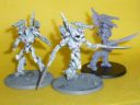 Vanguard Miniatures Savage Banshee Detachment 04