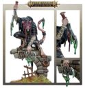 Games Workshop Widerhall Des Verderbens 7