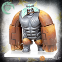 TTCombat TIN KHAN 1