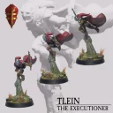 ToW Confrontation Continuum Tlein The Executioner