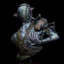 Black Sun Miniatures Norbert 5