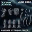 Cyberforjunpat12