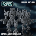 Cyberforjunpat13