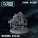 Cyberforjunpat17