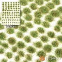G Forest Tuft Background Copy