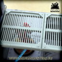MiniMonsters MetalPlates3 04