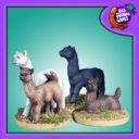 BadSquiddo Alpacas 01