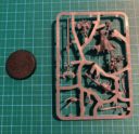 Brueckenkopf Online Unboxing Warhammer Age Of Sigmar Arcane Cataclysm 12