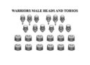 Fireforge Games Warriors Male Heads & Torsos