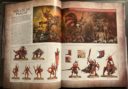 Brueckenkopf Online Unboxing Codex Chaos Daemons 12