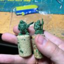 Scibor Dwarf Prev01