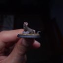 Warp Miniatures Best Of The British Isle Part 2 4
