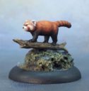 DSM Red Pandas X2 1