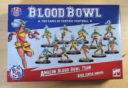 GW Review Amazonen Blood Bowl 1