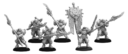 Privateer Press Warmachine Storm Legion – Stormguard Legionaires & Standard Bearer
