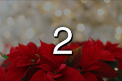 Adventskalender 2